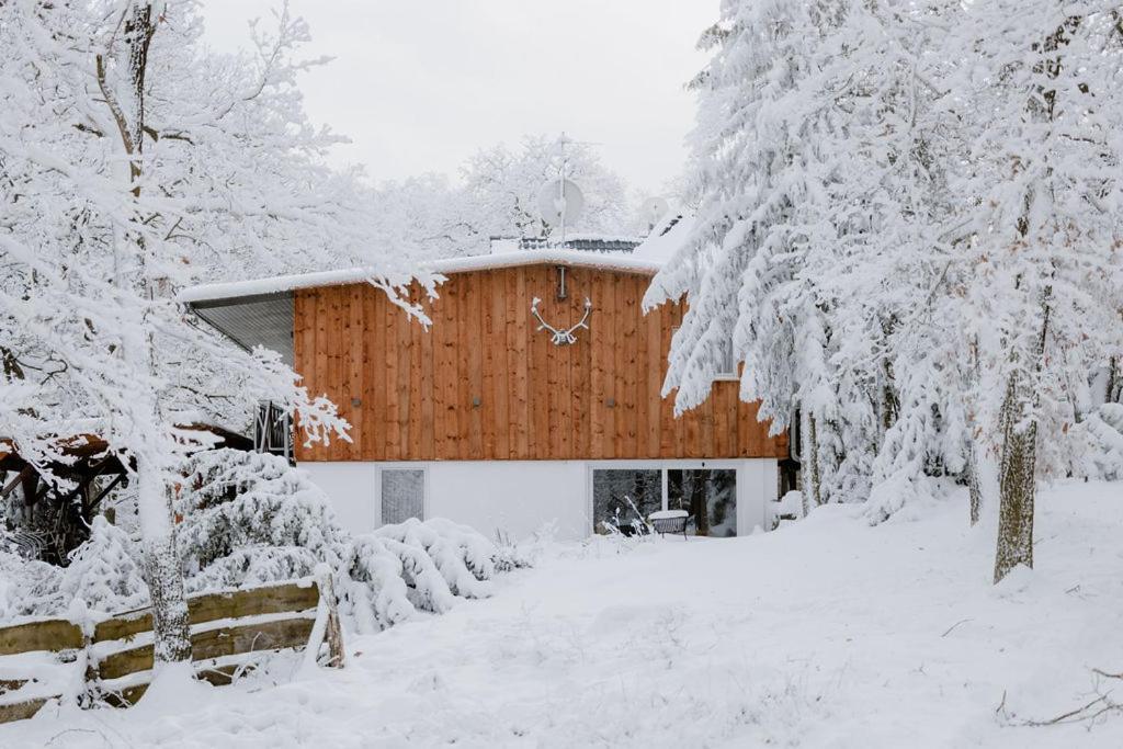 Naturtraum Georgshoehe Thale Exterior foto